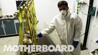 (NSFW) Reviving the Dead With DIY Forensics: Still Life (Full Documentary)
