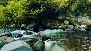 Asmr Water Stream Waterfall Sounds Forest Nature Sounds Beautiful Nature River Relaxing Nature Sound