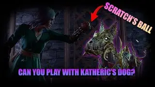 FUNNY! I broke into Katheric's bedroom and MESSED WITH HIS DOG - Baldur's Gate 3