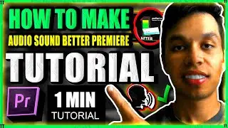 How To Make Voice Over Audio Sound Better in Premiere Pro Tutorial