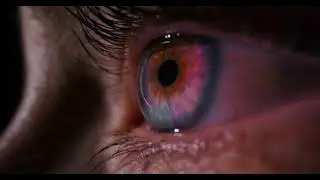 4K | Eye | Reflection | Eyelid | Staring | Free Stock Video Footage
