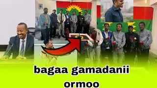 bagaa gamadanii oromoo