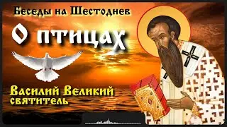 О птицах | Василий Великий