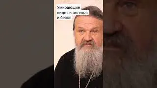 Умирающие видят и ангелов, и бесов. о. Андрей Лемешонок