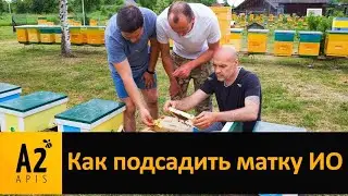 Как подсадить 