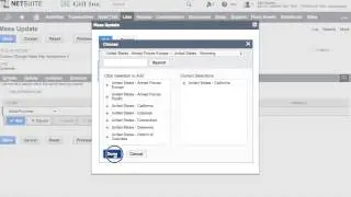 NetSuite: How to Mass Update Leads - by TrueCloud