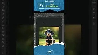 the Photoshop user interface | 