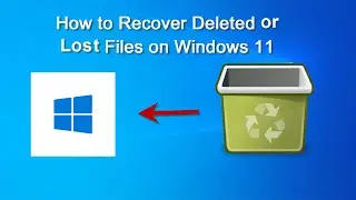 How to Recover Permanently Deleted or Lost Files on Windows 11