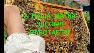 В СЕМЬЕ НЕТ МАТКИ???  ч. 3.  А ВЕДЬ МАТКА ТО ЕСТЬ!!!