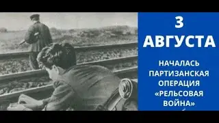 Партизанская операция 