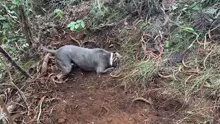 Hiking with One and Mele
