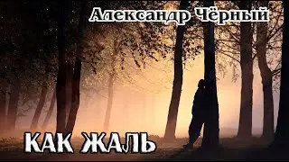 Александр Чёрный  - Как жаль