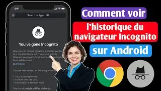 Comment voir lhistorique du navigateur Incognito dans Android (2023) | Solutions Inquiry