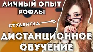 Дистанционное обучение / как это проходит / рофлы