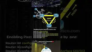 Cisco OSPF Passive Interface Configuration..! | CCNA 200-301 | IPCisco.com