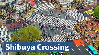 Why is Shibuya Crossing the Busiest in the World?