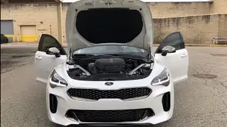 K&N Typhoon CAI Review (Kia Stinger 3.3LTT)