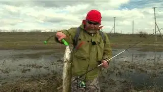 Ловля щуки ранней весной: тактика поиска, рабочие приманки