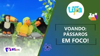 VOANDO: PÁSSAROS EM FOCO! - SUPER LUPA