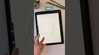 How to DRAW the PERFECT CIRCLE in PROCREATE 