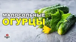 Как приготовить малосольные огурцы