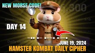 DAY 14! HAMSTER KOMBAT DAILY CIPHER! HAMSTER KOMBAT CODE TODAY JUNE 19