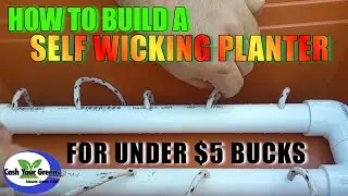 HOW TO BUILD A SELF WICKING PLANTER / Self Watering Pot for $5