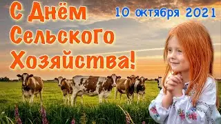 С Днем Работников Сельского Хозяйства ! 10 октября! Красивое Поздравление ! Музыкальная Открытка