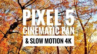 Google Pixel 5 Cinematic Pan and Slow Motion