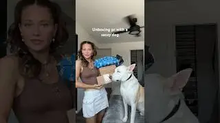 Pr unboxing with Yuki 🐶 