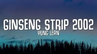 Yung Lean - Ginseng Strip 2002 (Lyrics) bitches come and go brah TikTok Song