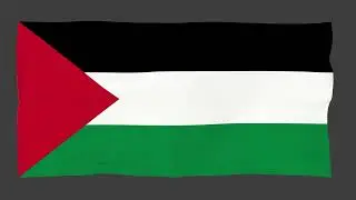 Waving Flag of Palestine on a gray background. Video animation footage.