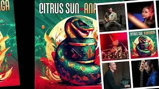 Mystic Brew - Citrus Sun (Official Audio)