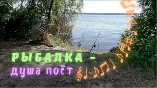 Рыбалка - душа поёт - сочиняю и пою песни во время рыбалки на донку в июле