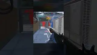 PA Garibaldi 12GA в Warface 