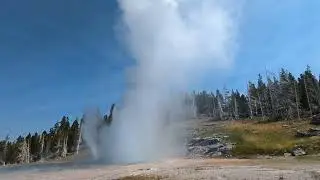 Yellowstone Geiser