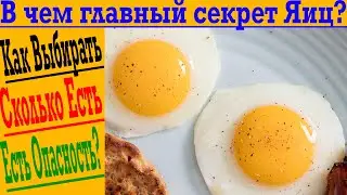 Яйца! Сколько яиц можно в день! Как правильно выбирать, в чем польза