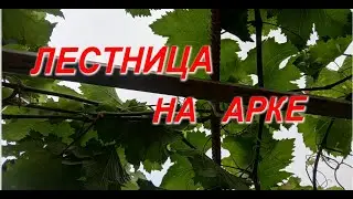 Лестница на арке