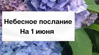 Небесное послание на 1 июня. Отражение.