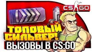 ТОПОВЫЙ СИЛЬВЕР И РАНДОМ! - CS:GO ВЫЗОВЫ #29