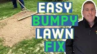 How to make your lawn FLAT and LEVEL - topdressing my lawn with sand