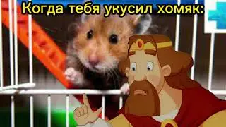 Я ранен и теперь окончательно умру (Три Богатыря)