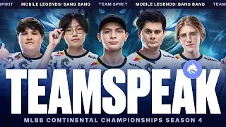 TEAM SPIRIT: TEAMSPEAK MCC REGULAR SEASON 4