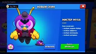 Мистер муха