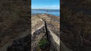 открытие охоты с подсадной