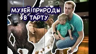 Музей естествознания Тартуского университета.