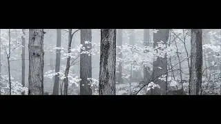 Capture to Print Workflow-Fall Panorama Part 1