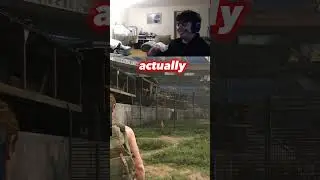 poor doggo😪