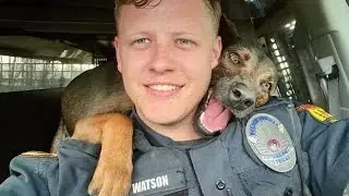 When your dog is the only one who loves the real you 😄 Funny Dog and Human Video 2024