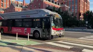 Buses in Washington DC, USA 2022